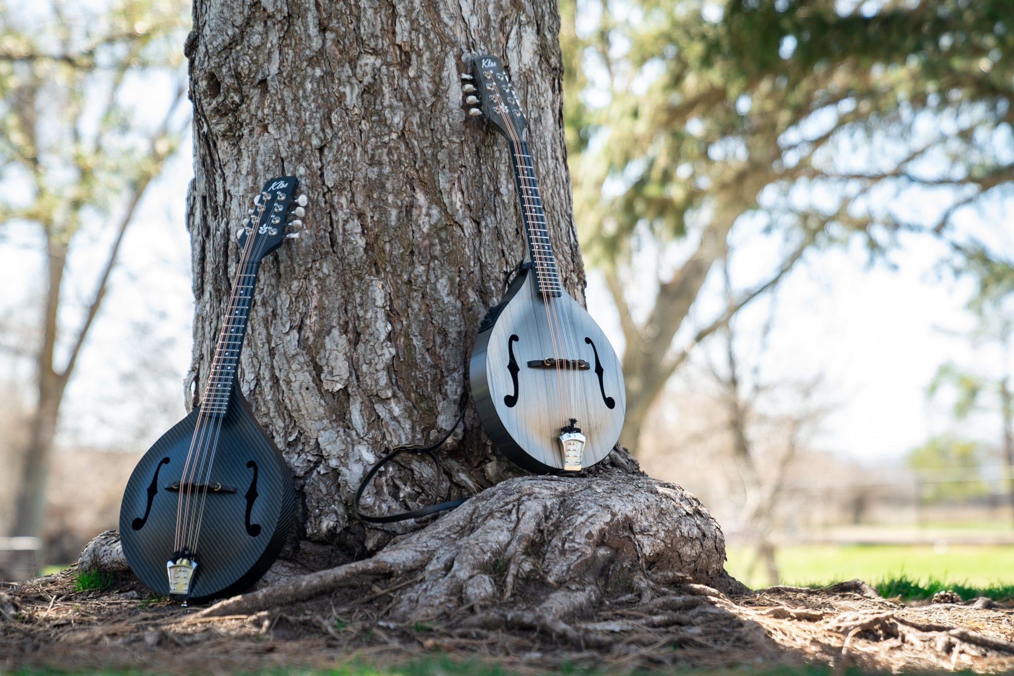 How to Read Mandolin Tabs and Chords: A Beginner's Guide