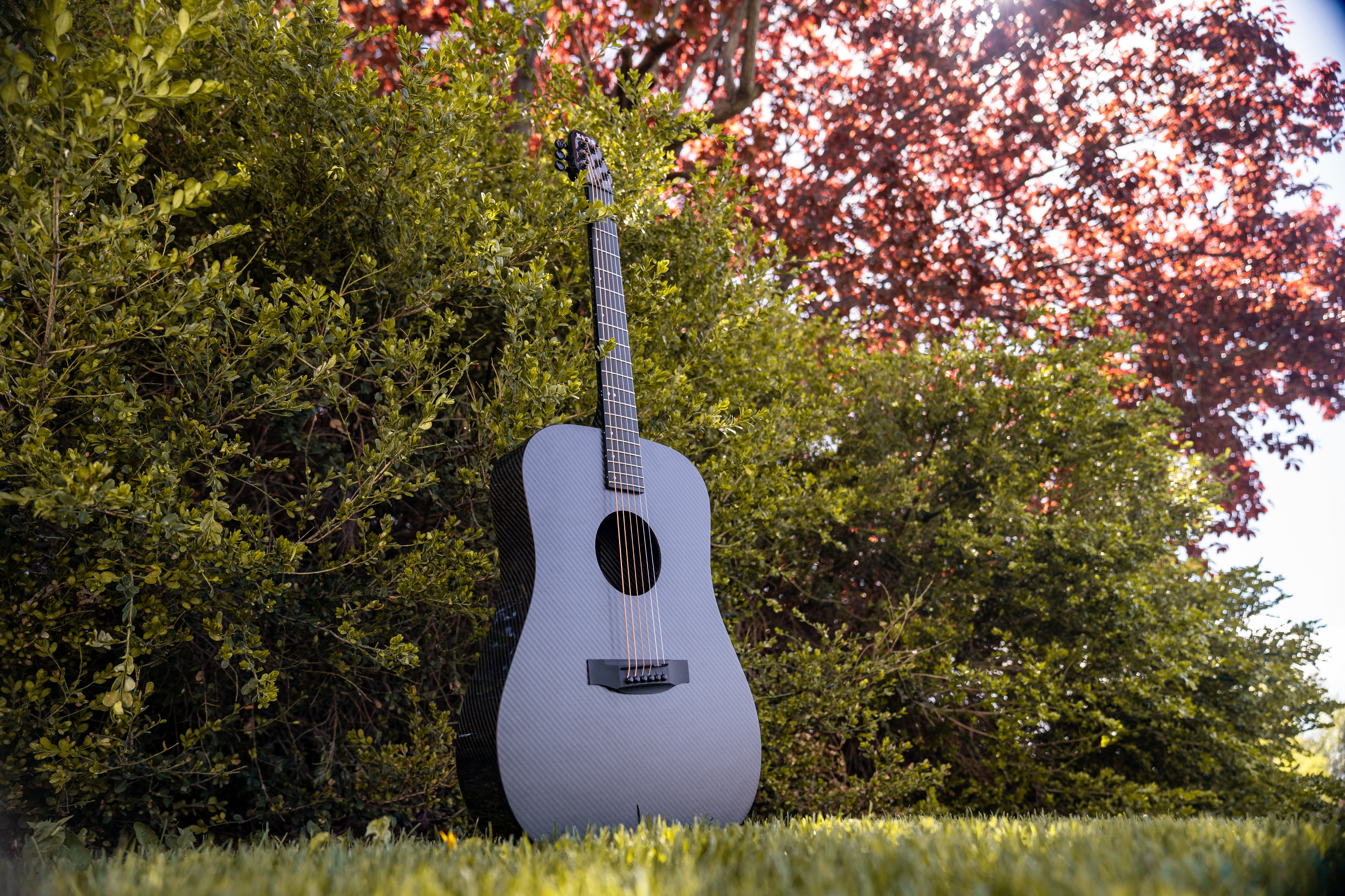 The Dreadnought Guitar: Power, Tone, and Tradition