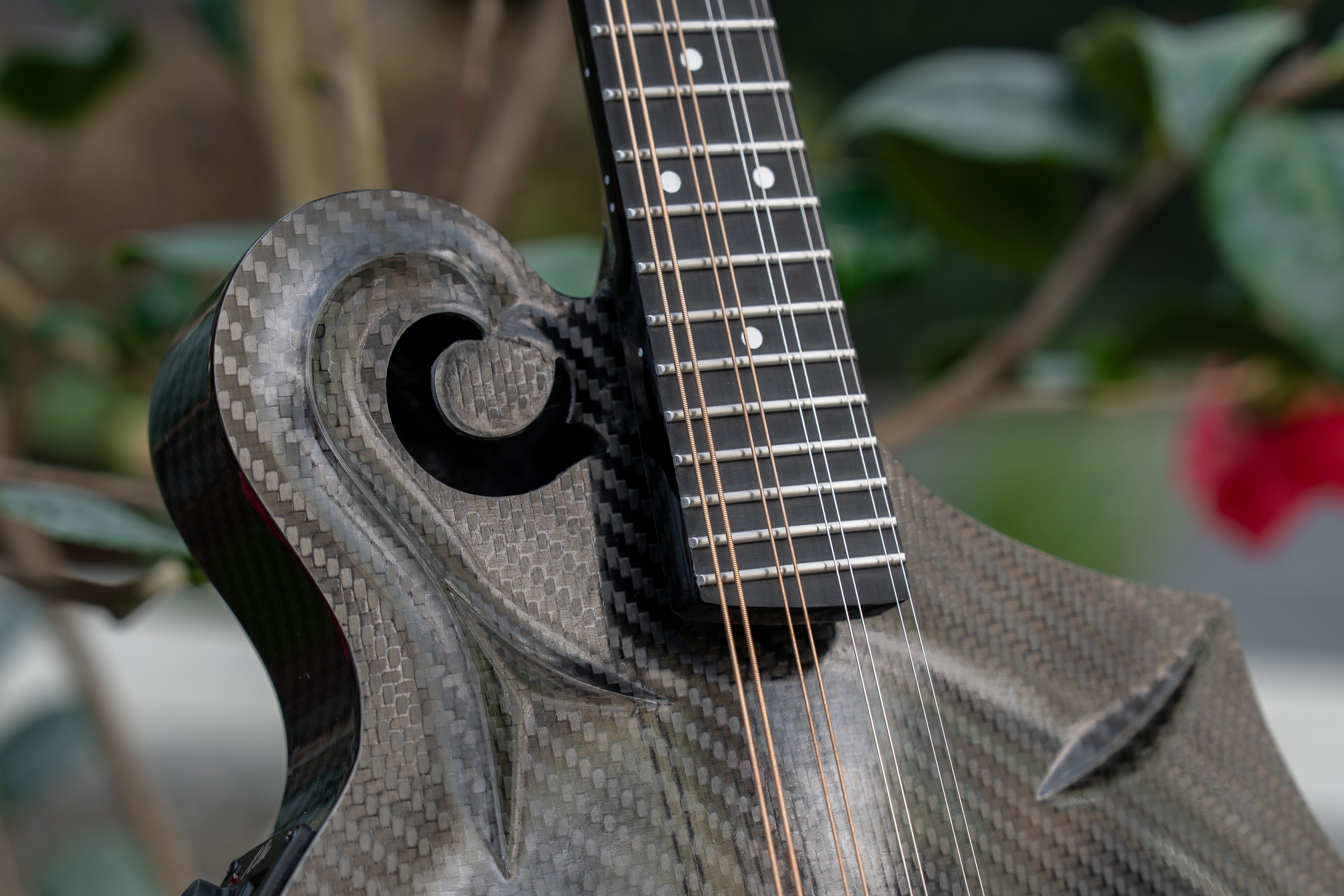 The 10 Best Mandolins of 2026: A Buyer's Guide for Every Budget