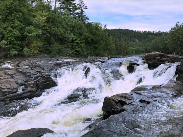 Taking My Travel Guitar Down Whitewater Rapids