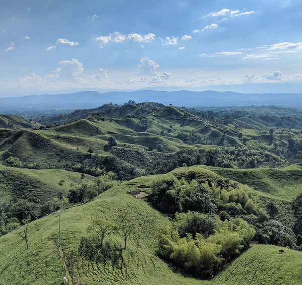Songs for my 100 Year Old Abuelita