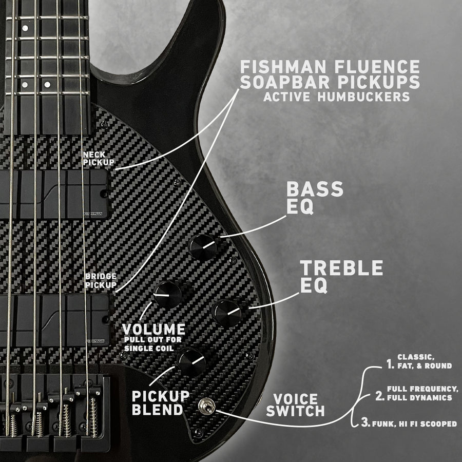 Fishman Soapbars