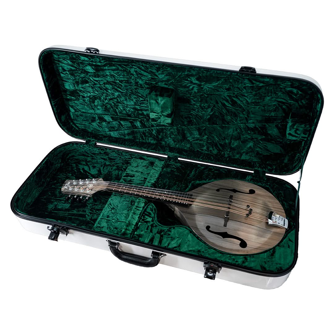 Mandolin Hard Case