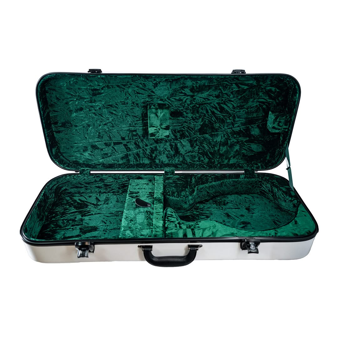 Mandolin Hard Case