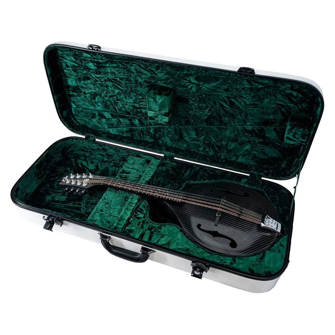 Mandolin Hard Case