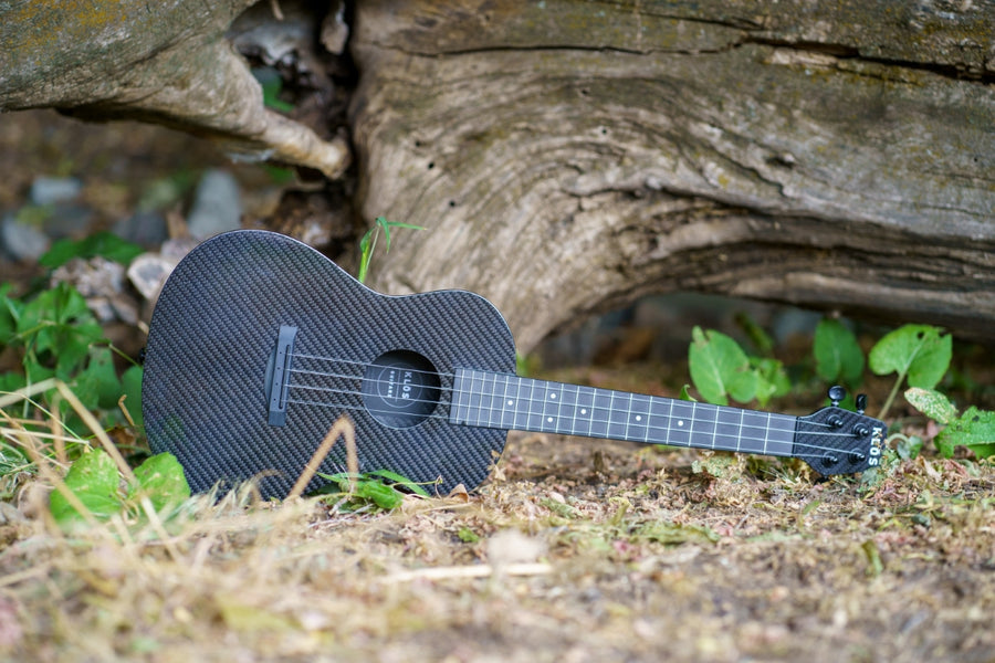 Concert ukulele sitting on the ground in a forest 