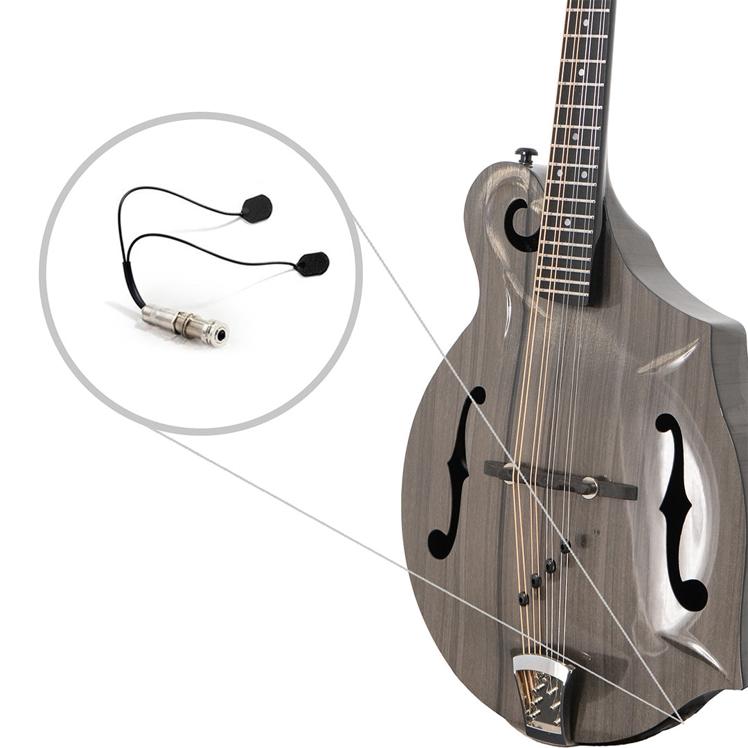 Carbon Fiber F-Style Mandolin