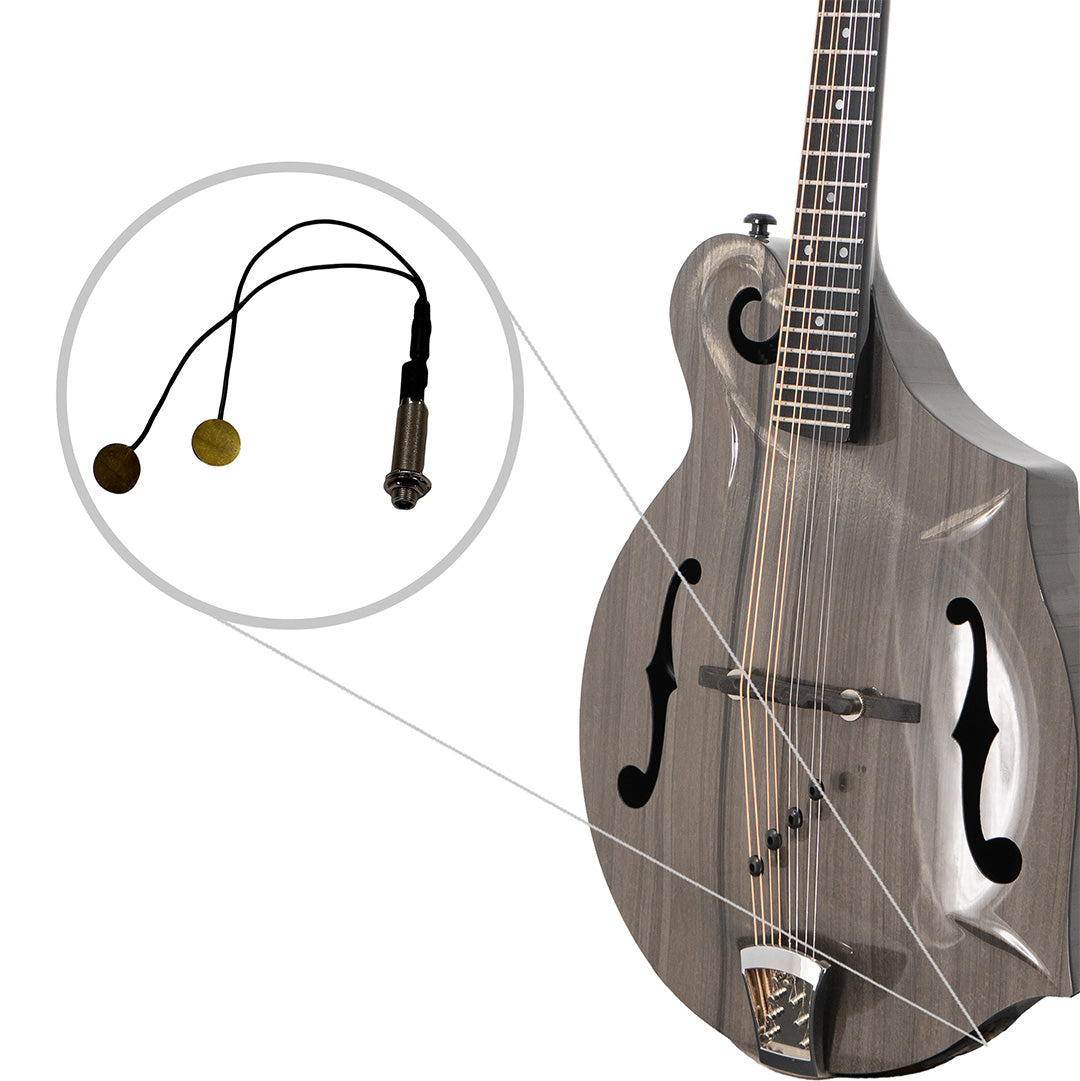 Carbon Fiber F-Style Mandolin